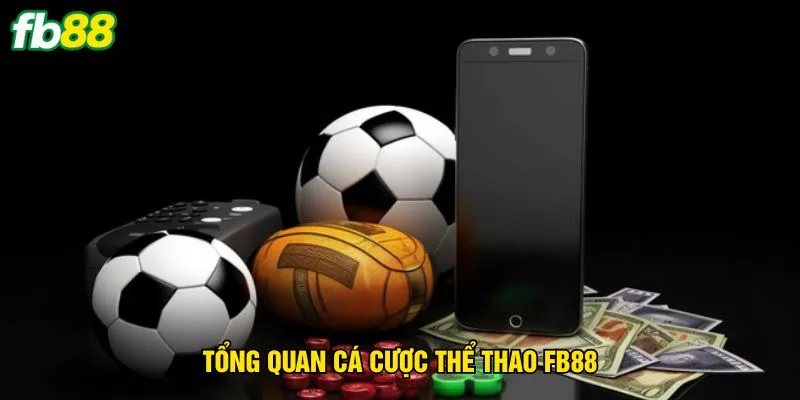 tong-quan-ca-cuoc-the-thao-fb88